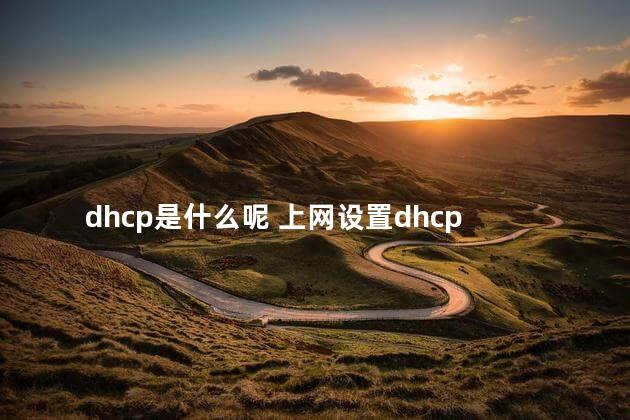 dhcp是什么呢 上网设置dhcp